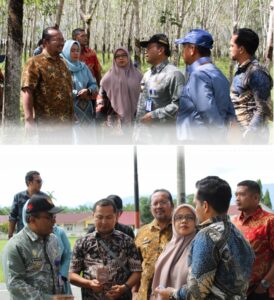 Kantor Pertanahan Kota Padangsidimpuan Lakukan Survei Awal Lokasi Pembangunan Huntara dan Huntap di Pulo Bauk