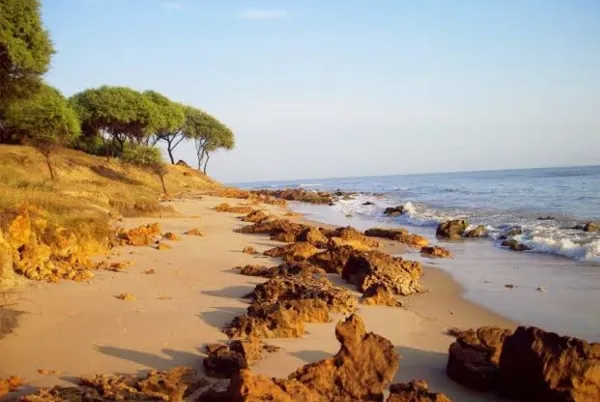 5 Pantai di Tuban yang Lagi Hits dan Wajib Dikunjungi | NEWS TV Indonesia