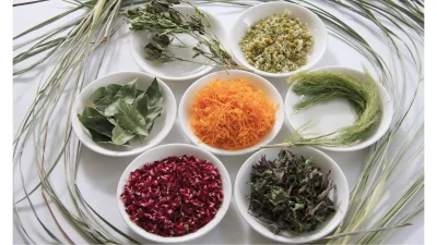 Penanganan Penyakit Jantung dengan 5 Ramuan Herbal Rumahan sebagai Pendamping Gaya Hidup Sehat