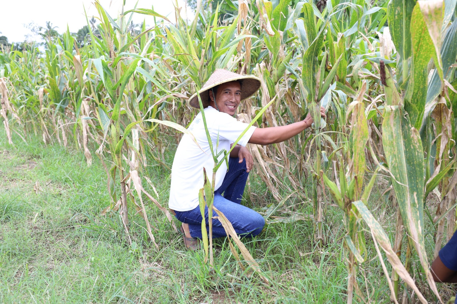Reforma Agraria Lahirkan Regenerasi dan Kreativitas Petani Muda di Desa Soso | NEWS TV Indonesia