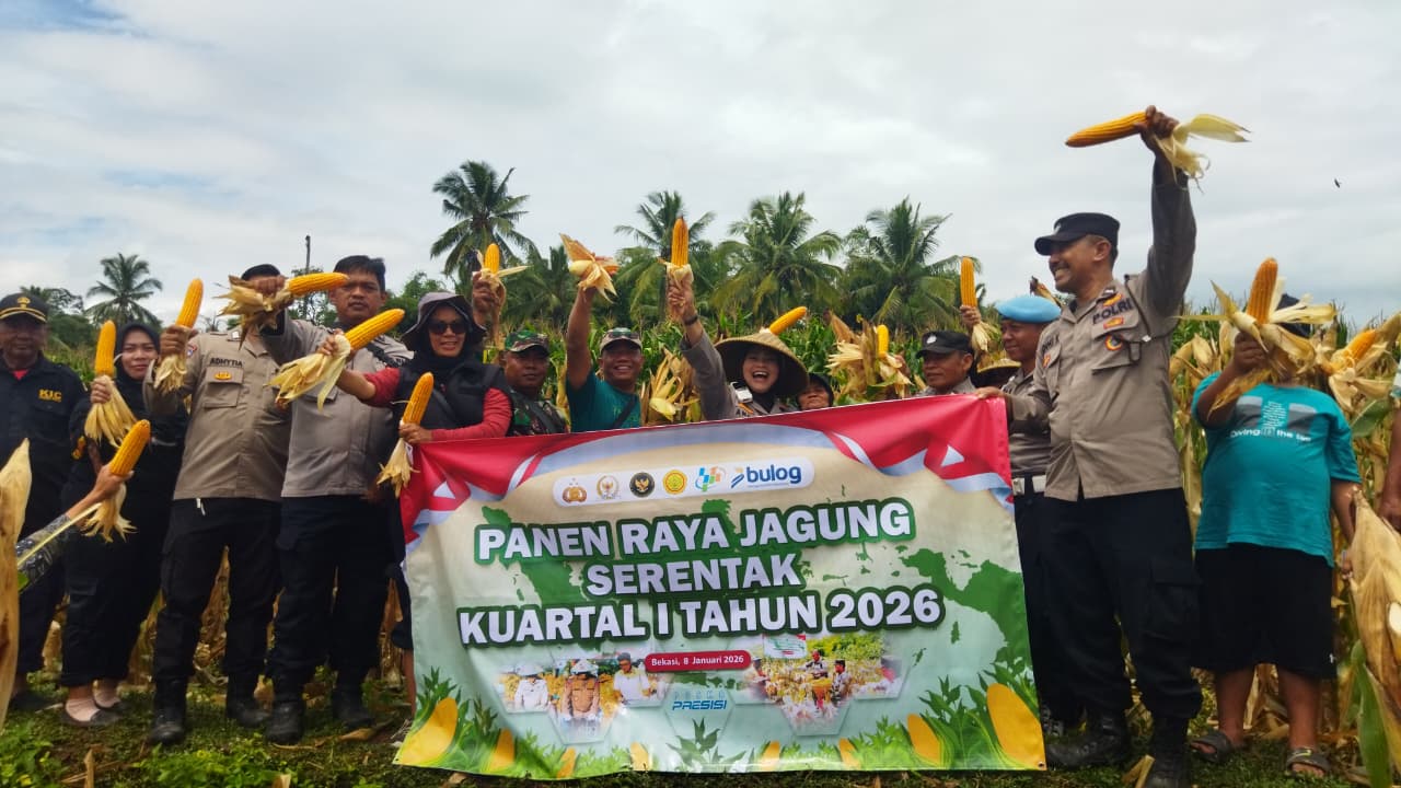 Panen Raya Jagung Serentak di Cililin, Polsek Cililin Dukung Swasembada Pangan 2026 | NEWS TV Indonesia