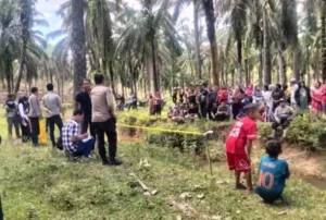 Kasus Penemuan Mayat Bayi di Langkat, Polisi Amankan Seorang Perempuan