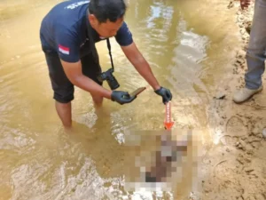 Penemuan Mayat Bayi di Sungai Wampu, Polres Langkat Amankan Seorang Perempuan