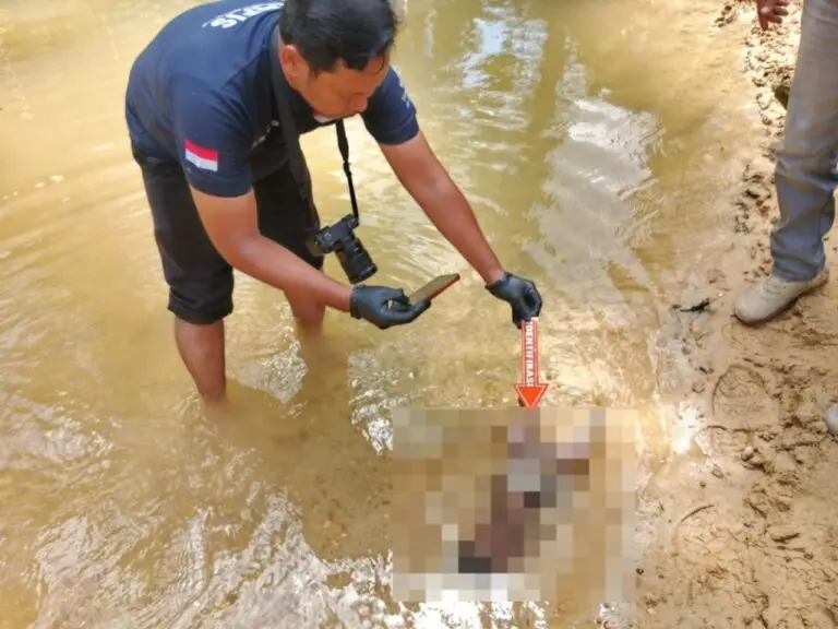 Penemuan Mayat Bayi di Sungai Wampu, Polres Langkat Amankan Seorang Perempuan | NEWS TV Indonesia