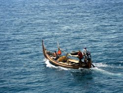 Presiden Sampaikan Bantuan Langsung Tunai El Nino di Banyuwangi, Jawa Timur