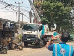 Demi Keselamatan Pengguna Jalan, UP 3 Cianjur Tebang Pohon di Jalur PJR–Cipeyeum