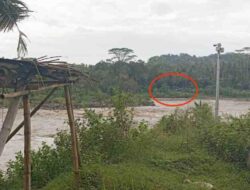 FAJI DIY Soroti Tambang Pasir di Kali Progo Kali Bawang