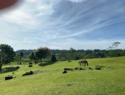 Puncak Merga Silima Deli Serdang: Harga Tiket dan Lokasinya