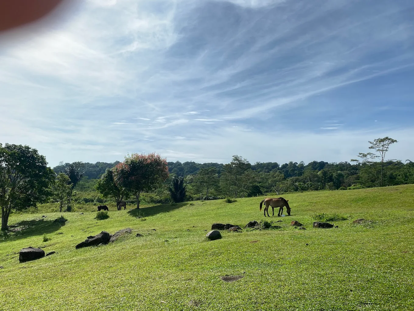 Puncak Merga Silima Deli Serdang: Harga Tiket dan Lokasinya