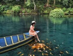 Wisata Situ Cipanten: Harga Tiket Murah Tapi View Mewah!