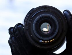 HP Tunjukkan Masa Depan Dunia Gaming Lewat Ekosistem HyperX dan OMEN