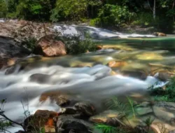Sekayu River Semarang: Harga Tiket Hingga Wahana Seru 2026