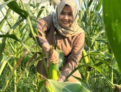 Wabup Madina Ajak Masyarakat Tekan Inflasi Dengan Memanfaatkan Pekarangan