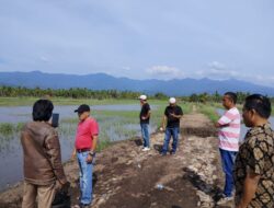 Korwasis Madina Soroti Lambannya Penanganan Tanggung Jebol Aek Muara Sada