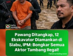 Pawang Di Tangkap,12 Excavator Di Amankan Di Siabu,IPMN Bongkar Semua Aktor Tambang Ilegal