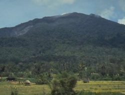Warga Dihimbau Jangan Mendekat: Aktivitas Gunung Merapi Di Madina Waspada