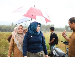 Rehabilitasi Lahan Di Desa Sayurmatua Selesai Bulan Ini Petani Dapat Bantuan Bibit