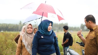 Rehabilitasi Lahan Di Desa Sayurmatua Selesai Bulan Ini Petani Dapat Bantuan Bibit | Newstv Indonesia