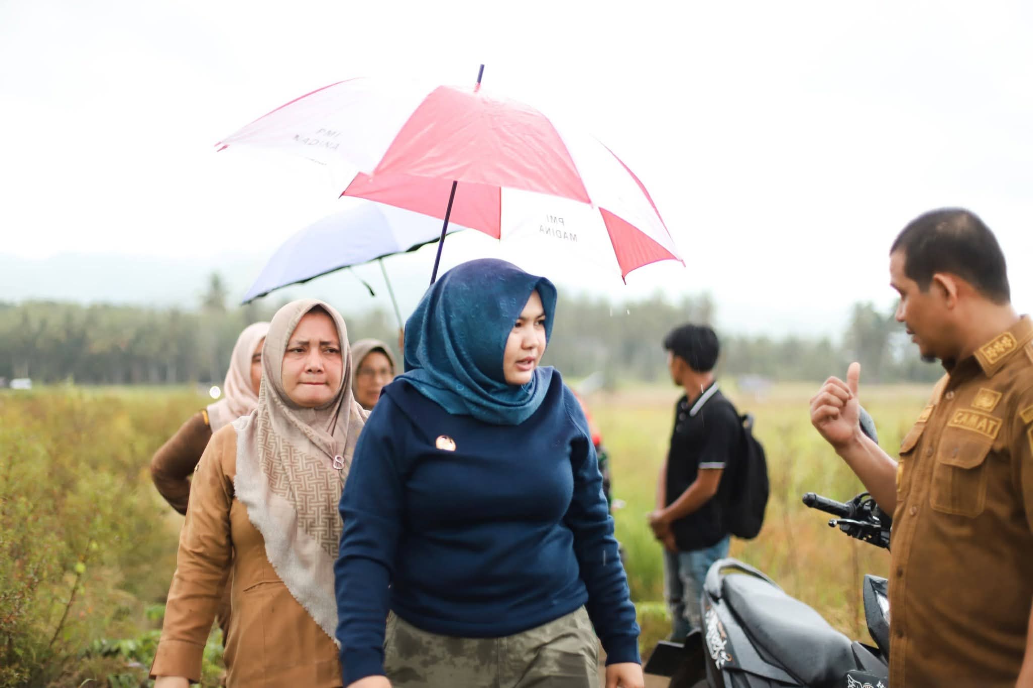 Rehabilitasi Lahan Di Desa Sayurmatua Selesai Bulan Ini Petani Dapat Bantuan Bibit | Newstv Indonesia
