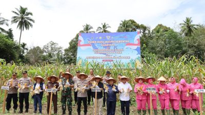 Kapolres dan Sekda Madina Hadiri Panen Raya Jagung Serentak dan Launching 4 SPPG Polres | Newstv Indonesia