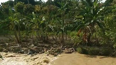 Kondisi Sungai Rantopuran Keruh, Warga Laporkan Kepada Pemuda Pancasila | Newstv Indonesia