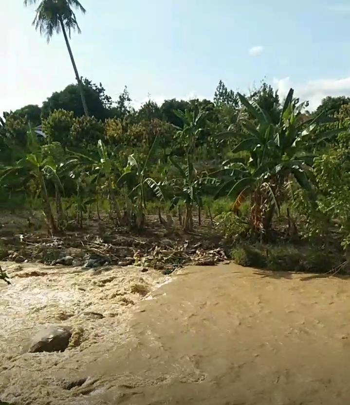 Kondisi Sungai Rantopuran Keruh, Warga Laporkan Kepada Pemuda Pancasila | Newstv Indonesia