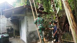 Ucapan Bangga dan Terima Kasih Risman Gegara TNI Bangun Jamban Sehat di Rumahnya | Newstv Indonesia