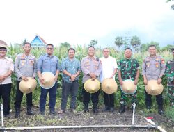 Bupati Jeneponto Hadiri Panen Raya Jagung Serentak Nasional, Perkuat Komitmen Ketahanan Pangan Daerah