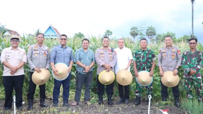Bupati Jeneponto Hadiri Panen Raya Jagung Serentak Nasional, Perkuat Komitmen Ketahanan Pangan Daerah | Newstv Indonesia