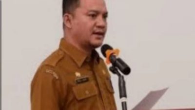Irsal Pariadi SSTP dilantik sebagai Kadis PMD kabupaten Mandailing Natal | Newstv Indonesia