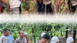 Pematokan dan Pematangan Lahan Hunian Tetap di Padangsidimpuan Dimulai, Dukung Percepatan Pembangunan Permukiman Masyarakat