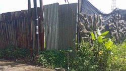 Warga Pertanyakan Proyek Tanpa Plang Informasi di Nglawisan Tamanagung