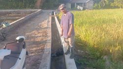 Irigasi Beton Pertanian di Dusun Candi Pakunden, Akhirnya Terwujud