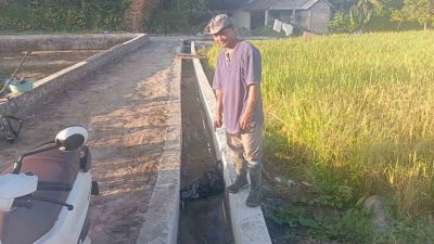 Irigasi Beton Pertanian di Dusun Candi Pakunden, Akhirnya Terwujud | Newstv Indonesia