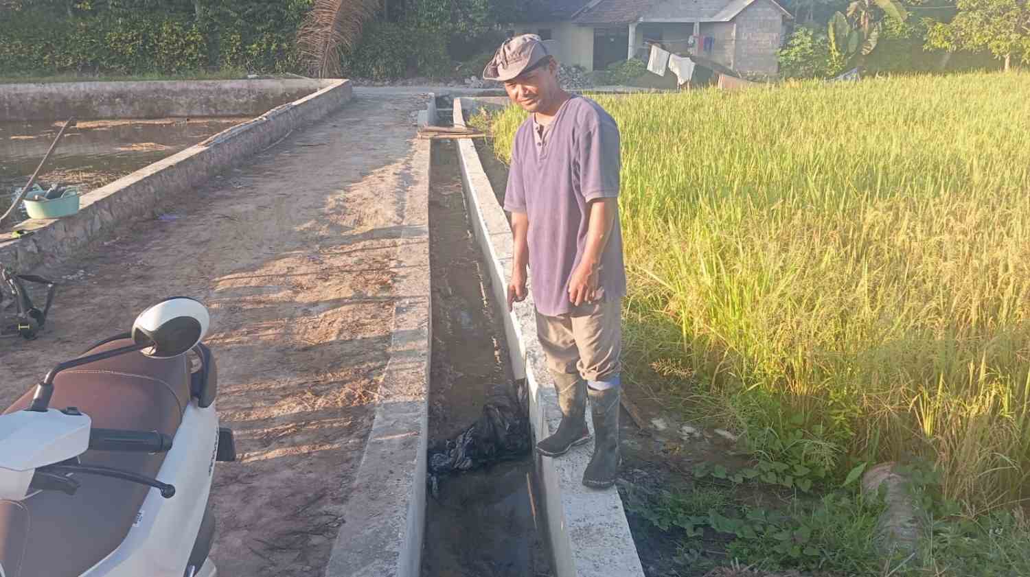 Irigasi Beton Pertanian di Dusun Candi Pakunden, Akhirnya Terwujud | Newstv Indonesia