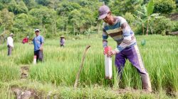 Pasang Patok, Cara Sederhana Cegah Sengketa Tanah dengan Tetangga | Newstv Indonesia
