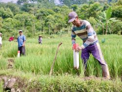 Pasang Patok, Cara Sederhana Cegah Sengketa Tanah dengan Tetangga