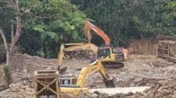 PETI Tagilang Kecamatan Muara Batang Gadis Makin Merajalela, APH Diduga Tutup Mata