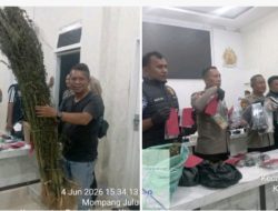 Polres Madina Gelar Konferensi Pers, Puluhan Kasus Narkoba dan Kriminal Berhasil Di Ringkus