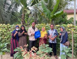 Medco E&P Malaka Dorong Ketahanan Pangan, Warga Indra Makmu Mampu Mandiri dengan Kebun Sayur