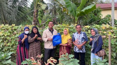 Medco E&P Malaka Dorong Ketahanan Pangan, Warga Indra Makmu Mampu Mandiri dengan Kebun Sayur | Newstv Indonesia
