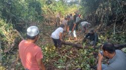 Akses Perkuburan Kini Lebih Mudah, Warga Tanobato Bergotong Royong Buka Jalan Baru