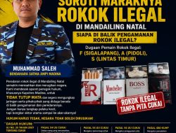 Siapa Bermain di Balik Maraknya Rokok Ilegal di Madina?Satma Ampi Minta Transpransi Penegakan Hukum