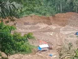 Tangkap Pemilik PETI di Simpang Koje Lingga Bayu Yang Diduga Telah Menelan Korban Jiwa