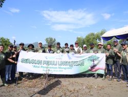 Medco E&P dan BPMA Tanam 1.000 Mangrove di Banda Aceh 