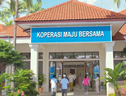 Kawal Transparansi Kelapa Sawit Media Nasional Surati Koperasi Maju Bersama Sikara Kara