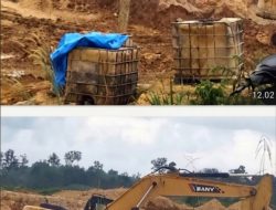 DPW IJEN SUMUT: PETI Menjamur Penegakan Hukum oleh Kapolres Mandailing Natal Dinilai Gagal