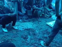Diduga Oknum Kades Muara Botung Kota Nopan Kangkangi Surat Bupati Mandailing Natal