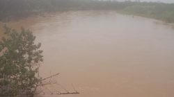 Akibat Aktivitas PETI di Hulu Sungai Batahan, Warga 2 Kecamatan Terdampak