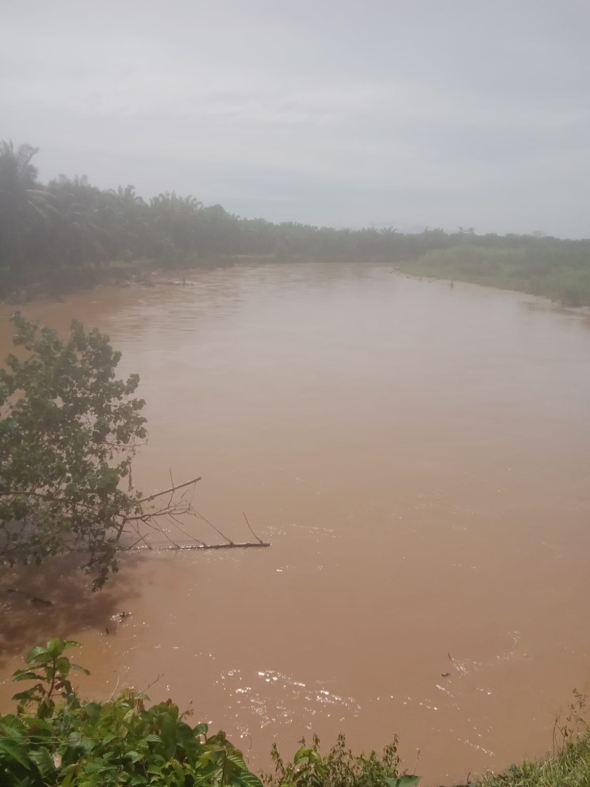 Akibat Aktivitas PETI di Hulu Sungai Batahan, Warga 2 Kecamatan Terdampak | Newstv Indonesia
